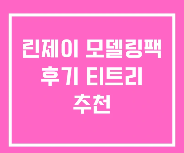 린제이 모델링팩 후기 티트리 추천
