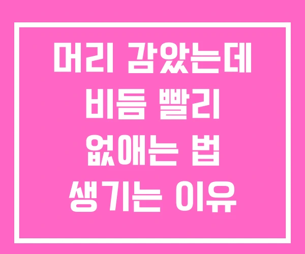 머리 감았는데 비듬 빨리 없애는 법 생기는 이유