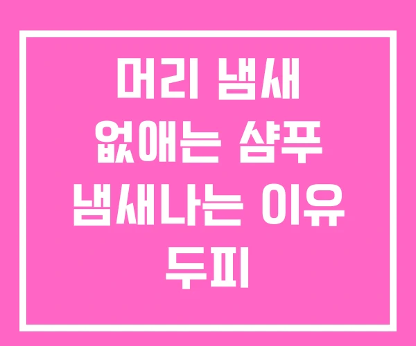 머리 냄새 없애는 샴푸 냄새나는 이유 두피