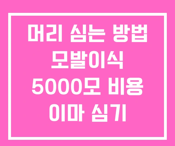 머리 심는 방법 모발이식 5000모 비용 이마 심기 머리 심는 방법 모발이식 5000모 비용 이마 심기