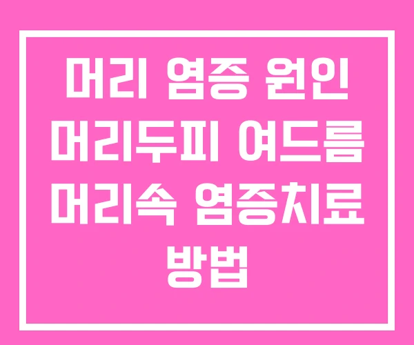 머리 염증 원인 머리두피 여드름 머리속 염증치료 방법