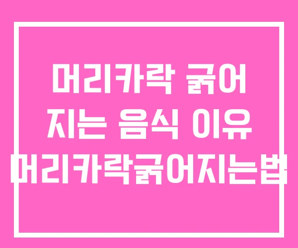 머리카락 굵어 지는 음식 이유 머리카락굵어지는법