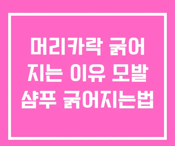 머리카락 굵어 지는 이유 모발 샴푸 굵어지는법 머리카락 굵어 지는 이유 모발 샴푸 굵어지는법