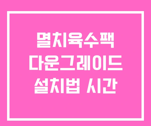 멸치육수팩 다운그레이드 설치법 시간 멸치육수팩 다운그레이드 설치법 시간