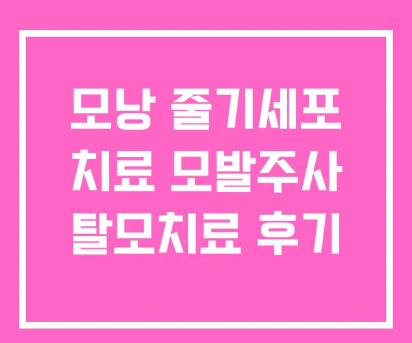 모낭 줄기세포 치료 모발주사 탈모치료 후기 모낭 줄기세포 치료 모발주사 탈모치료 후기