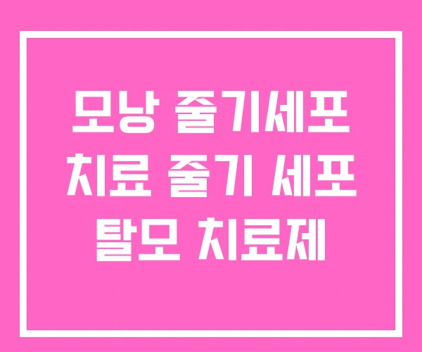 모낭 줄기세포 치료 줄기 세포 탈모 치료제 모낭 줄기세포 치료 줄기 세포 탈모 치료제
