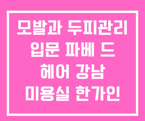 모발과 두피관리 입문 파베 드 헤어 강남 미용실 한가인 모발과 두피관리 입문 파베 드 헤어 강남 미용실 한가인