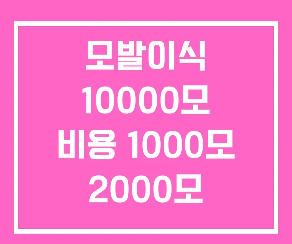 모발이식 10000모 비용 1000모 2000모 모발이식 10000모 비용 1000모 2000모