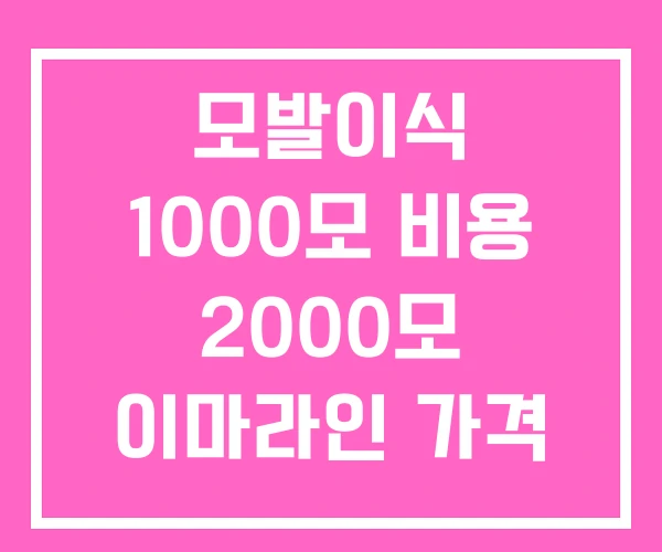 모발이식 1000모 비용 2000모 이마라인 가격 모발이식 1000모 비용 2000모 이마라인 가격