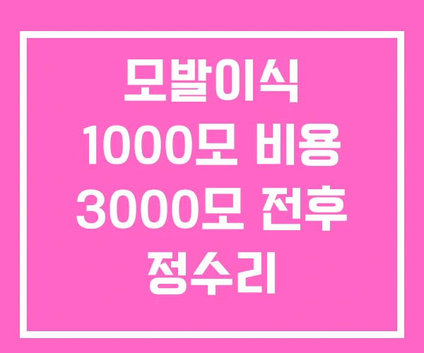 모발이식 1000모 비용 3000모 전후 정수리 모발이식 1000모 비용 3000모 전후 정수리