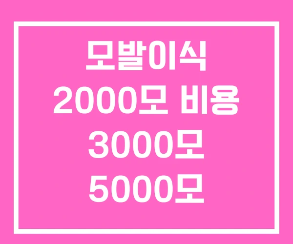 모발이식 2000모 비용 3000모 5000모 모발이식 2000모 비용 3000모 5000모