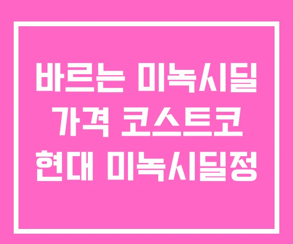 바르는 미녹시딜 가격 코스트코 현대 미녹시딜정