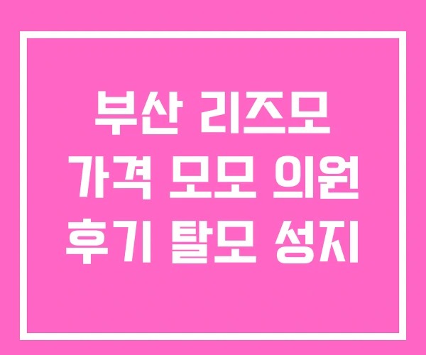 부산 리즈모 가격 모모 의원 후기 탈모 성지 부산 리즈모 가격 모모 의원 후기 탈모 성지