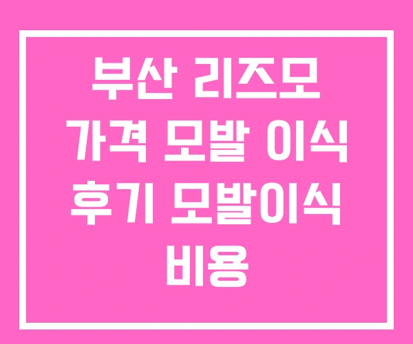 부산 리즈모 가격 모발 이식 후기 모발이식 비용 부산 리즈모 가격 모발 이식 후기 모발이식 비용