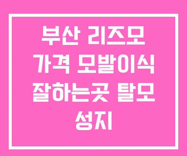 부산 리즈모 가격 모발이식 잘하는곳 탈모 성지 부산 리즈모 가격 모발이식 잘하는곳 탈모 성지