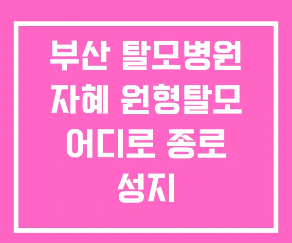 부산 탈모병원 자혜 원형탈모 어디로 종로 성지