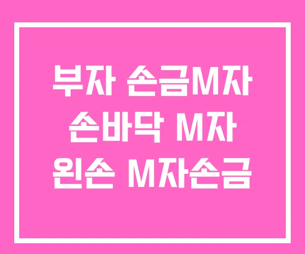 부자 손금M자 손바닥 M자 왼손 M자손금 부자 손금M자 손바닥 M자 왼손 M자손금