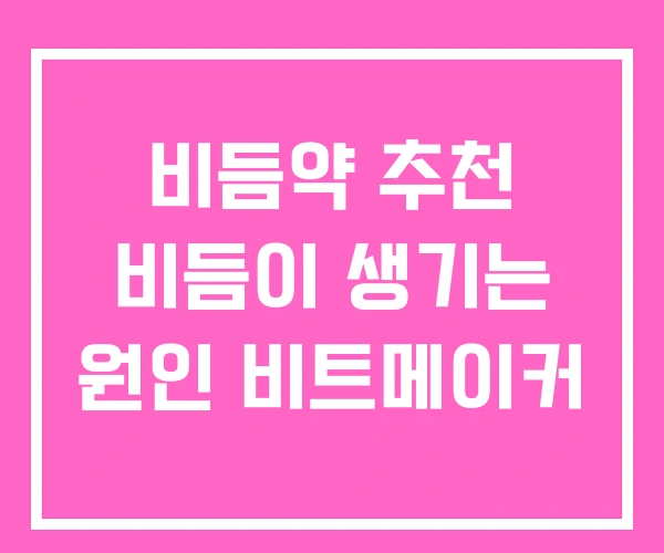 비듬약 추천 비듬이 생기는 원인 비트메이커