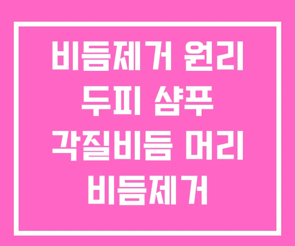비듬제거 원리 두피 샴푸 각질비듬 머리 비듬제거 비듬제거 원리 두피 샴푸 각질비듬 머리 비듬제거