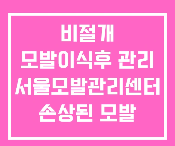 비절개 모발이식후 관리 서울모발관리센터 손상된 모발