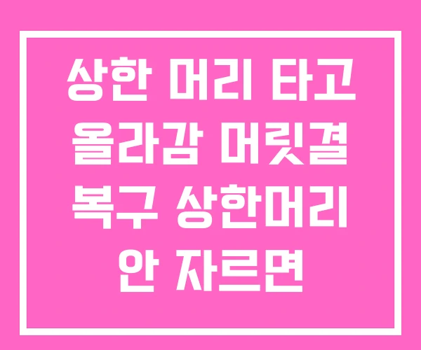 상한 머리 타고 올라감 머릿결 복구 상한머리 안 자르면 상한 머리 타고 올라감 머릿결 복구 상한머리 안 자르면