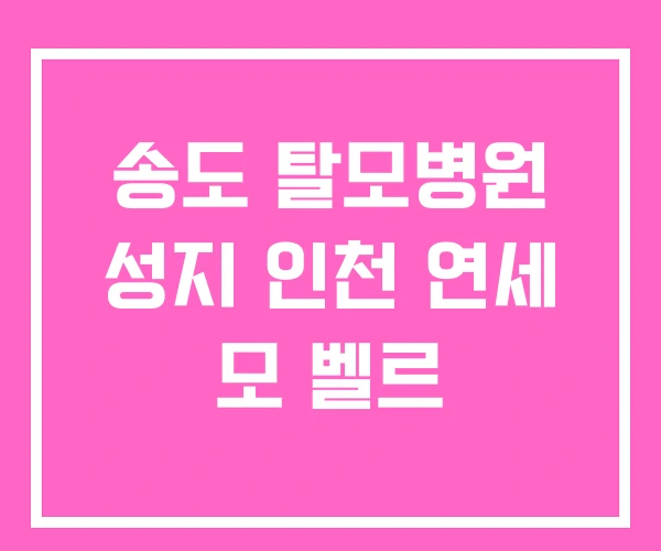 송도 탈모병원 성지 인천 연세 모 벨르 송도 탈모병원 성지 인천 연세 모 벨르