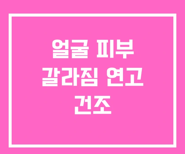 얼굴 피부 갈라짐 연고 건조 얼굴 피부 갈라짐 연고 건조