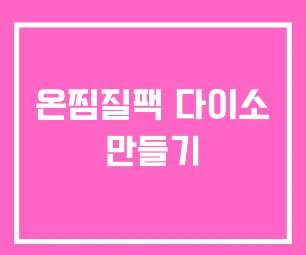 온찜질팩 다이소 만들기