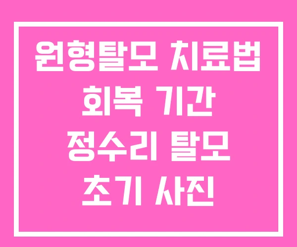 원형탈모 치료법 회복 기간 정수리 탈모 초기 사진