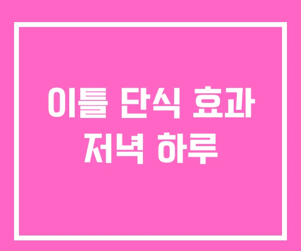 이틀 단식 효과 저녁 하루 이틀 단식 효과 저녁 하루