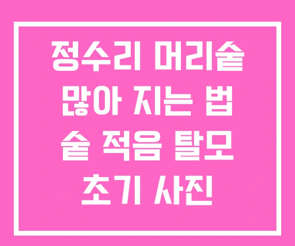 정수리 머리숱 많아 지는 법 숱 적음 탈모 초기 사진 정수리 머리숱 많아 지는 법 숱 적음 탈모 초기 사진