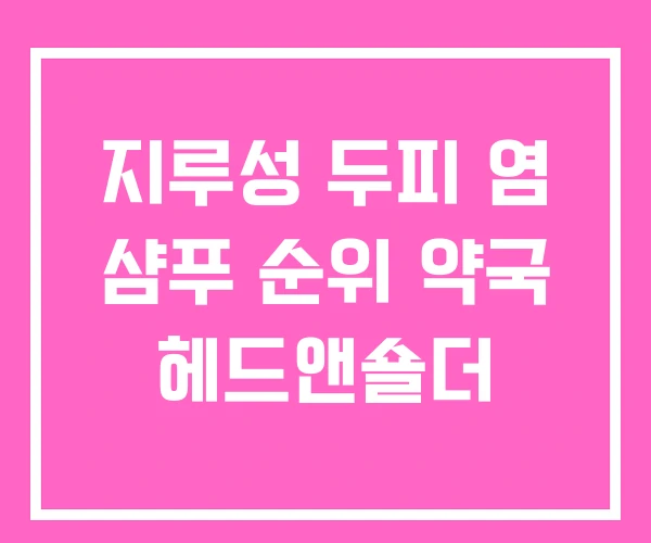 지루성 두피 염 샴푸 순위 약국 헤드앤숄더