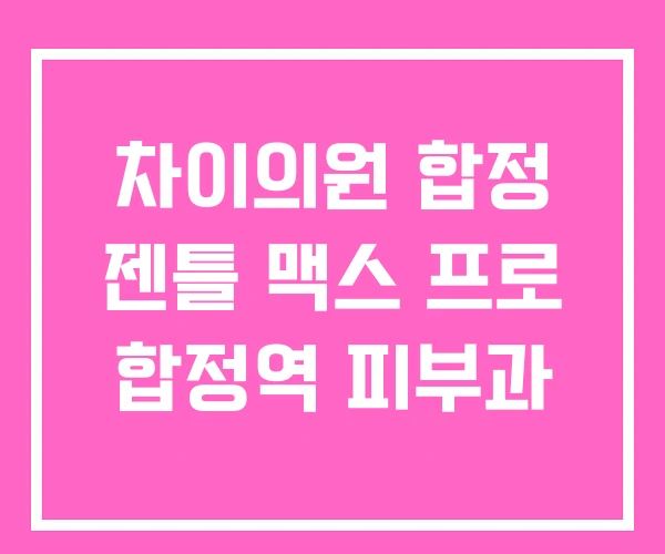 차이의원 합정 젠틀 맥스 프로 합정역 피부과