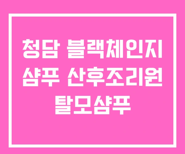청담 블랙체인지 샴푸 산후조리원 탈모샴푸