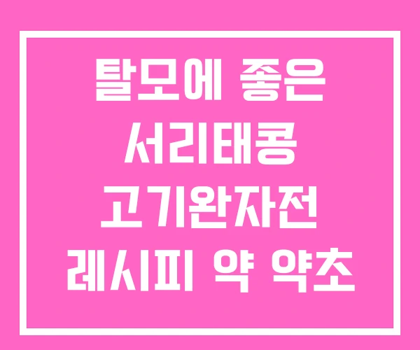 탈모에 좋은 서리태콩 고기완자전 레시피 약 약초 탈모에 좋은 서리태콩 고기완자전 레시피 약 약초