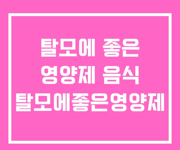 탈모에 좋은 영양제 음식 탈모에좋은영양제 탈모에 좋은 영양제 음식 탈모에좋은영양제