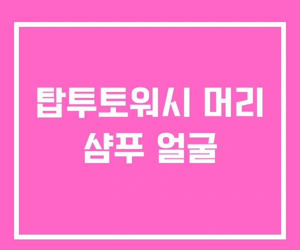 탑투토워시 머리 샴푸 얼굴 탑투토워시 머리 샴푸 얼굴