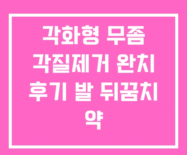 각화형 무좀 각질제거 완치 후기 발 뒤꿈치 약
