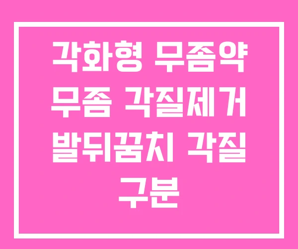 각화형 무좀약 무좀 각질제거 발뒤꿈치 각질 구분 각화형 무좀약 무좀 각질제거 발뒤꿈치 각질 구분