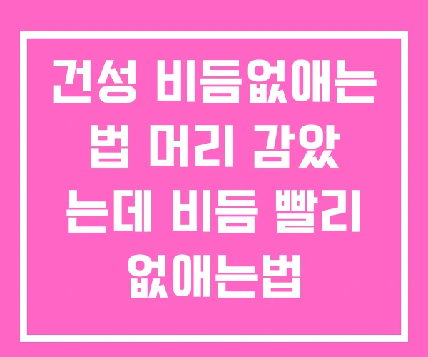 건성 비듬없애는 법 머리 감았 는데 비듬 빨리 없애는법 건성 비듬없애는 법 머리 감았 는데 비듬 빨리 없애는법
