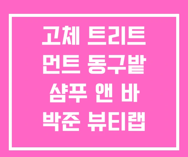 고체 트리트 먼트 동구밭 샴푸 앤 바 박준 뷰티랩 아르간 고체 트리트 먼트 동구밭 샴푸 앤 바 박준 뷰티랩 아르간